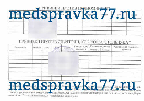 333760599