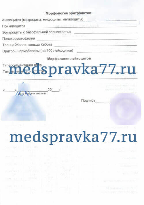 333760599