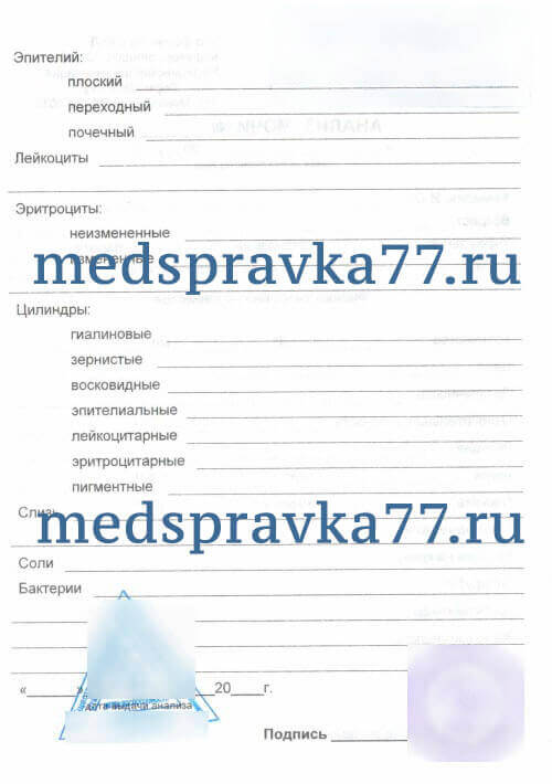 333760599